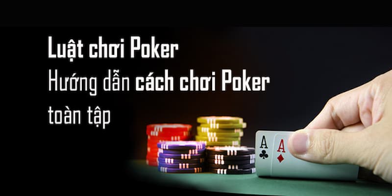 Cách vận hành chi tiết